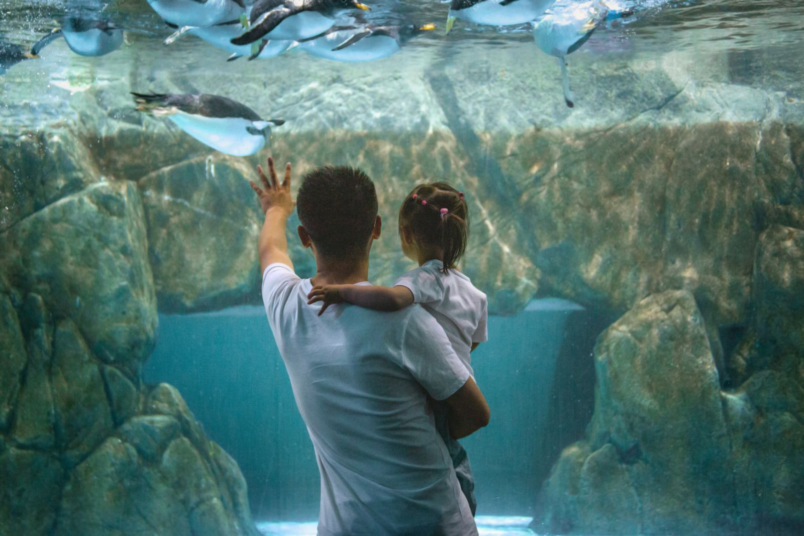 A father holding his small daughter up to the glass of an indoor aquarium tank
